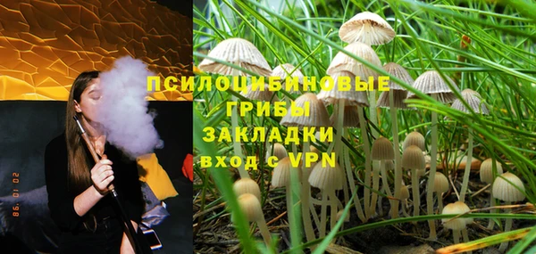 гашик Нязепетровск