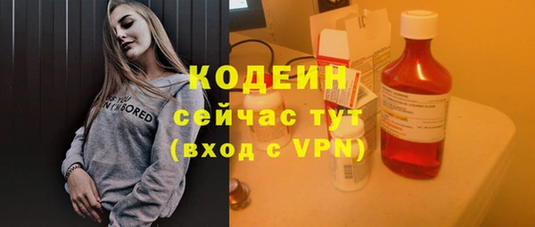 прущие грибы Аша