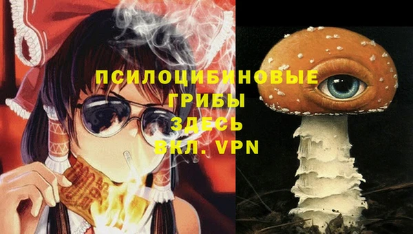 Альфа ПВП Ахтубинск