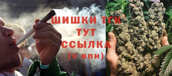 гашик Нягань
