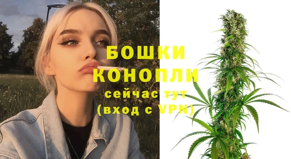 тгк Няндома