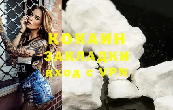тгк Няндома