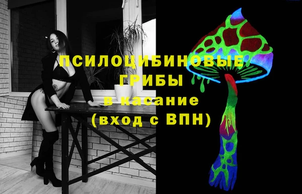 тгк Няндома