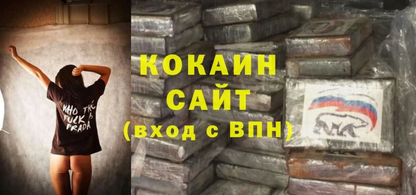 тгк Няндома