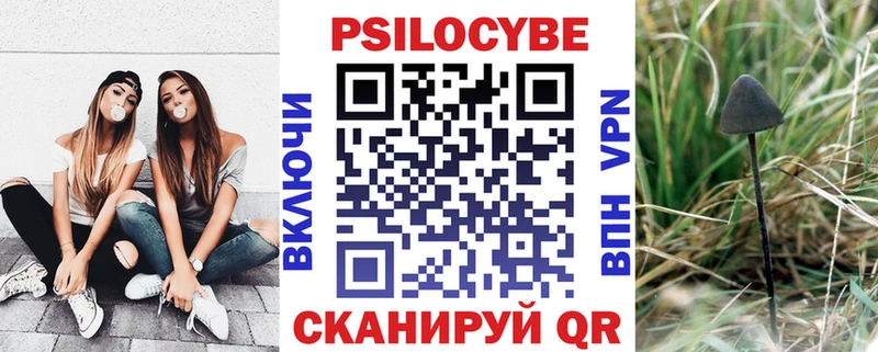 Псилоцибиновые грибы прущие грибы Губаха