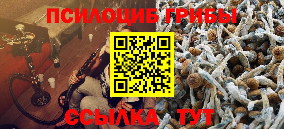 Губаха  закладка  Вход с VPN  Галлюциногенные грибы мицелий 