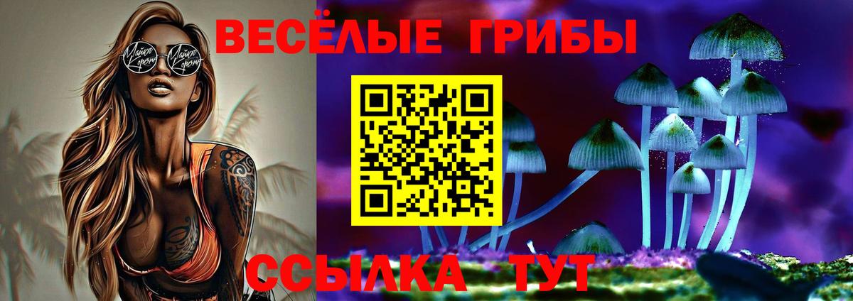 Галлюциногенные грибы мицелий  Псилоцибиновые грибы Magic Shrooms  Губаха 
